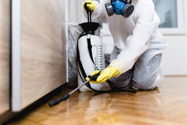 Flea Control Services in Wolfhurst, OH