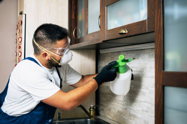 Best Mosquito Control Services  in Wolfhurst, OH
