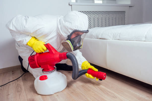 Best Local Pest Control Services  in Wolfhurst, OH