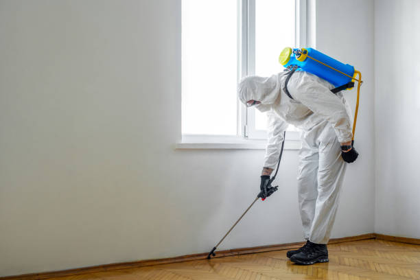 Best Exterminator Services  in Wolfhurst, OH