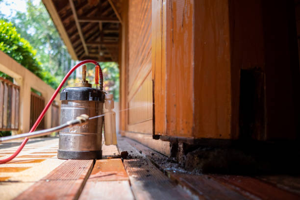 Best Termite Control Services  in Wolfhurst, OH