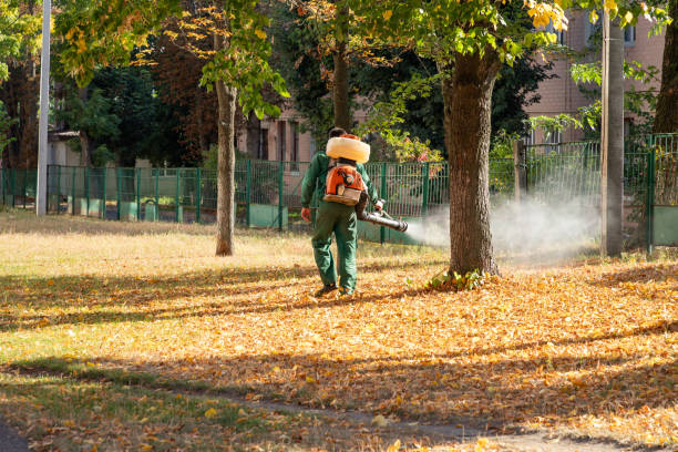 Best Flea Control Services  in Wolfhurst, OH