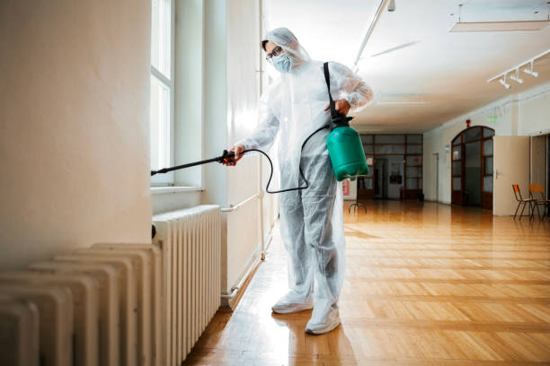 Best Insect Control  in Wolfhurst, OH